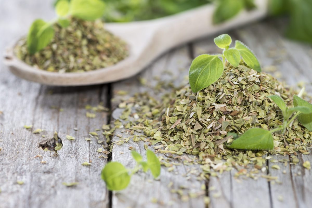 Photo représentant le produit : Oregano