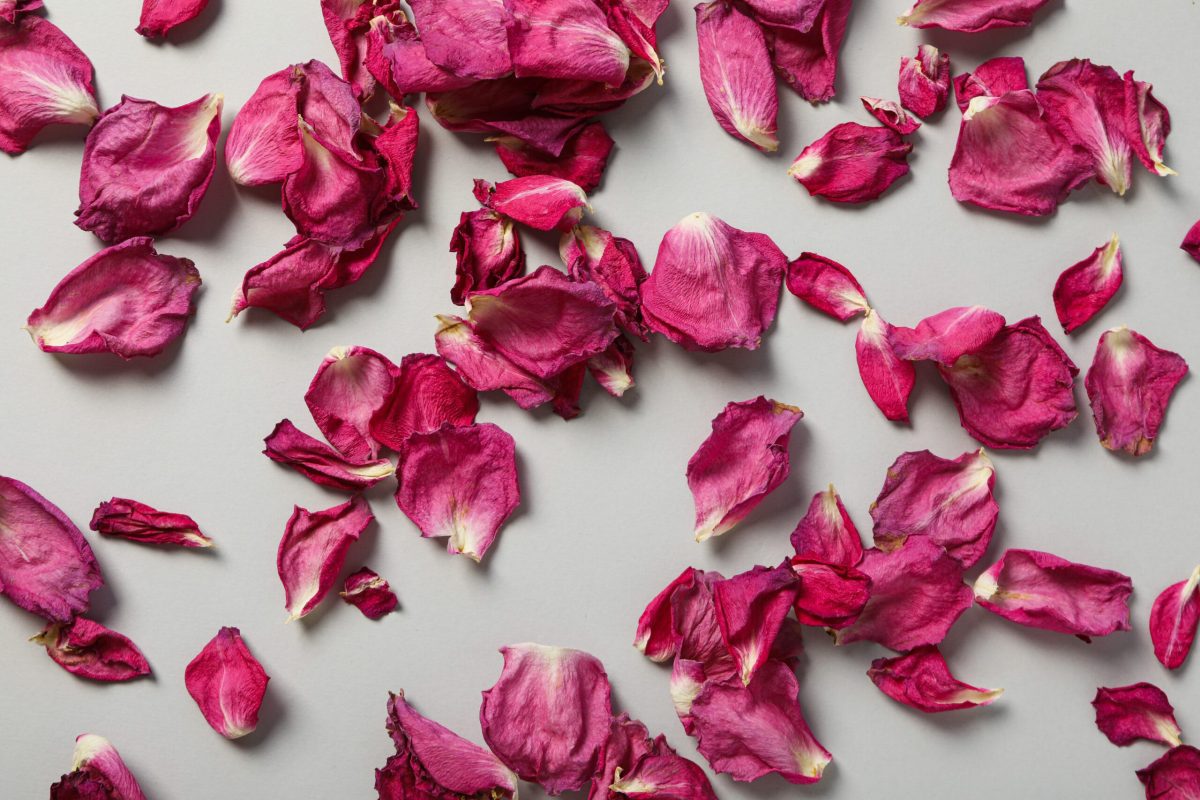 Photo représentant le produit : Pétales de roses séchées