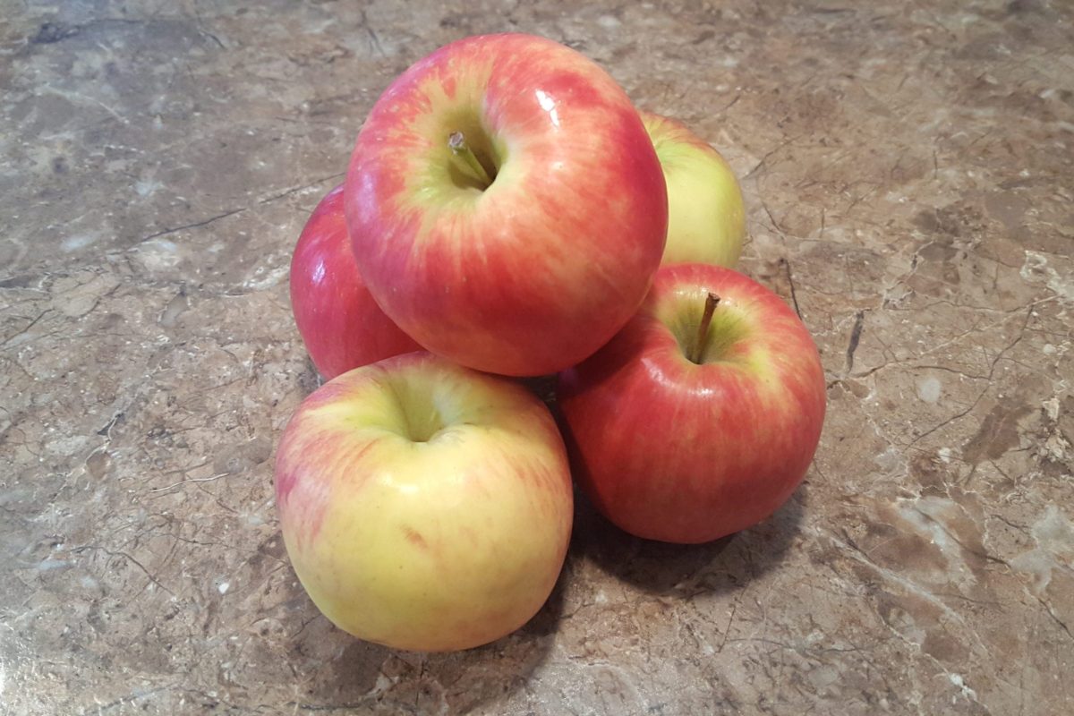 Photo représentant le produit : Cortland Apple