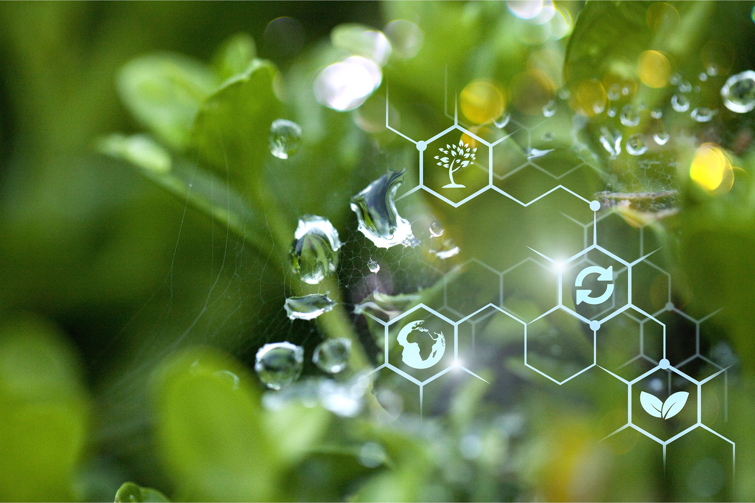 Gouttes d’eau sur plante verte avec icônes symbolisant génétique, écologie et biotechnologie