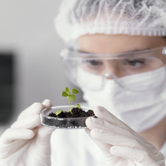 Scientifique observant une jeune plante en laboratoire, symbole de recherche sur les OGM