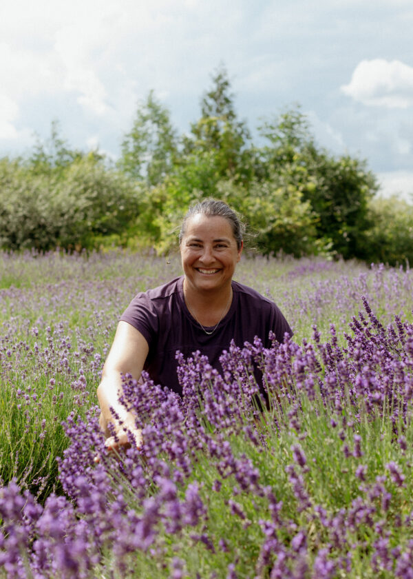 Featured photo by the local producer to represent their business: Lavenbel Organic Lavender Farm