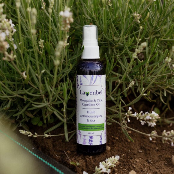 Répulsif naturel contre les moustiques et les tiques