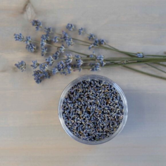 Organic Culinary Lavender