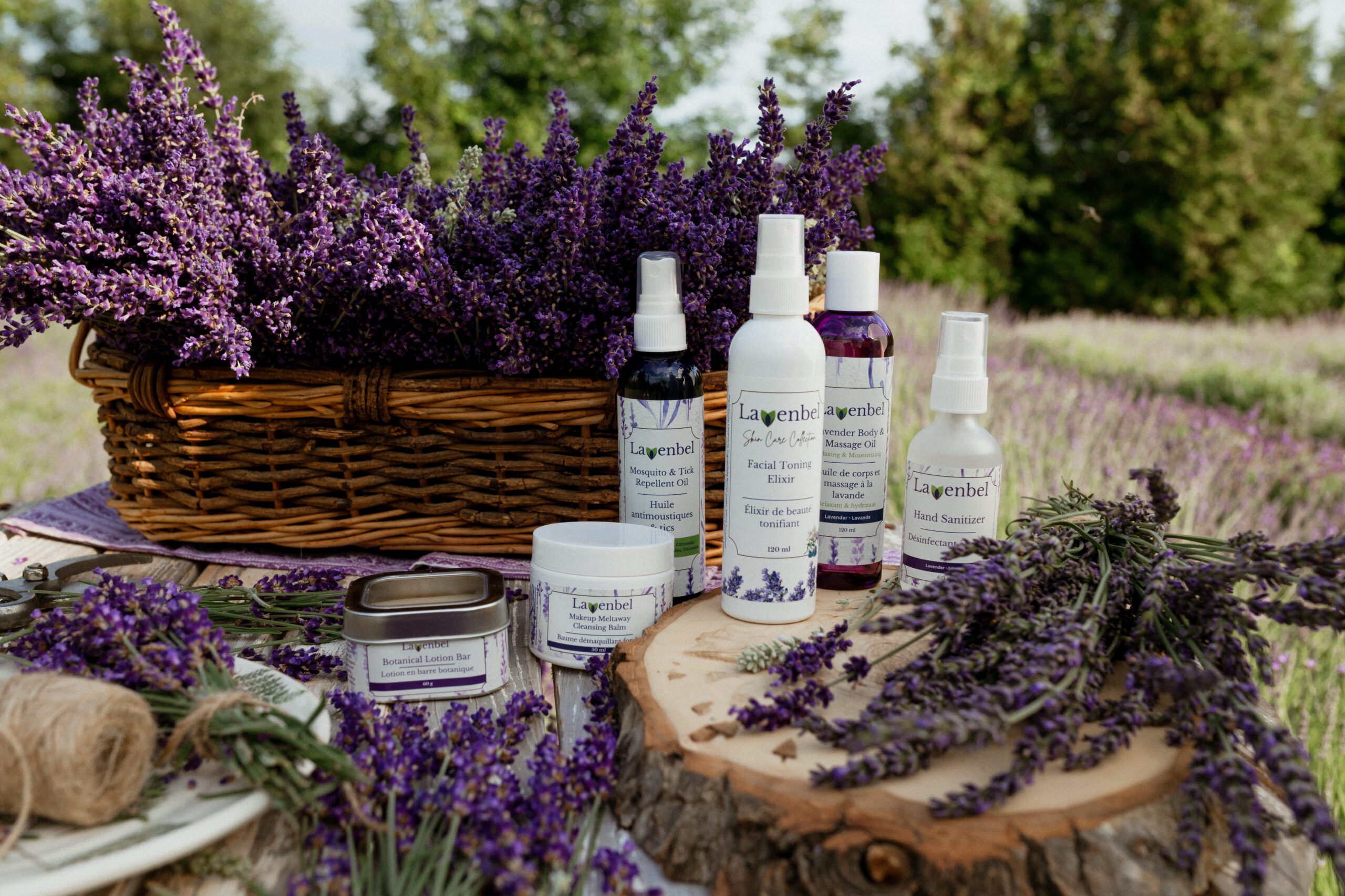 Lavender basket and full range of Lavenbel cosmetics displayed in the field.
