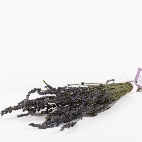 Bouquet de lavande française biologique
